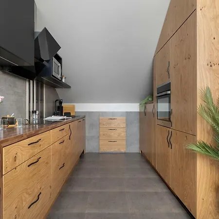 Apartment Modern With Parking And Air Conditioning In Cracow By Renters