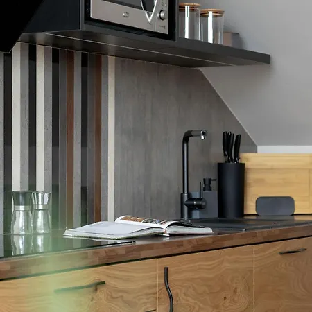 Apartment Modern With Parking And Air Conditioning In Cracow By Renters *