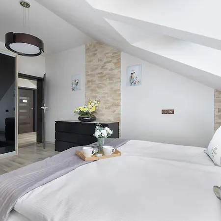 Modern With Parking And Air Conditioning In Cracow By Renters *